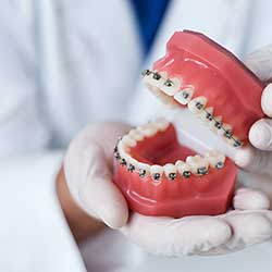 Dental Supplies & Equipment