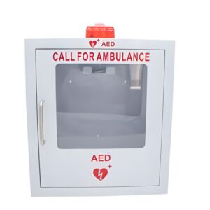AED ALARMED WALL MOUNT CABINET - STH171